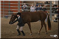 4H-State-Show-2005-0608.jpg