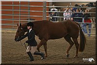 4H-State-Show-2005-0609.jpg