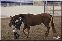 4H-State-Show-2005-0611.jpg