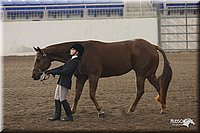 4H-State-Show-2005-0612.jpg