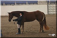 4H-State-Show-2005-0613.jpg