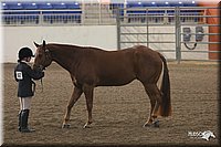 4H-State-Show-2005-0614.jpg