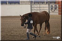 4H-State-Show-2005-0621.jpg