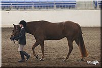 4H-State-Show-2005-0622.jpg