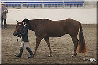 4H-State-Show-2005-0623.jpg