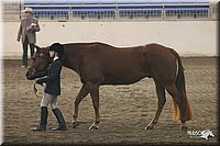 4H-State-Show-2005-0625.jpg