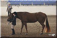 4H-State-Show-2005-0626.jpg