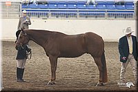 4H-State-Show-2005-0628.jpg