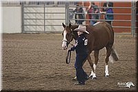 4H-State-Show-2005-0666.jpg
