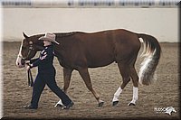 4H-State-Show-2005-0668.jpg