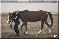 4H-State-Show-2005-0669.jpg