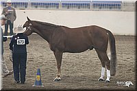 4H-State-Show-2005-0670.jpg