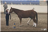 4H-State-Show-2005-0671.jpg