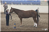 4H-State-Show-2005-0672.jpg