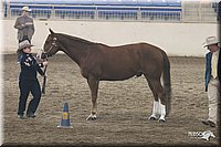 4H-State-Show-2005-0674.jpg
