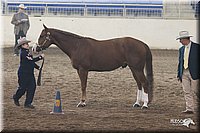 4H-State-Show-2005-0675.jpg