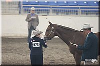 4H-State-Show-2005-0676.jpg