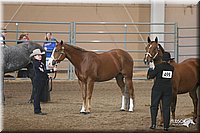 4H-State-Show-2005-0677.jpg