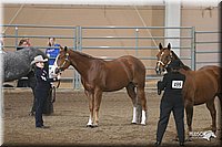 4H-State-Show-2005-0678.jpg