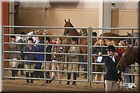 4H-State-Show-2005-1107.jpg