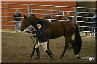 4H-State-Show-2005-1162.jpg