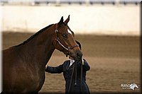 4H-State-Show-2005-1166.jpg