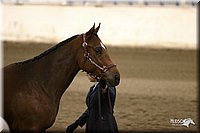 4H-State-Show-2005-1167.jpg