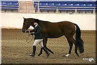 4H-State-Show-2005-1169.jpg