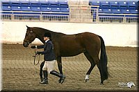 4H-State-Show-2005-1171.jpg