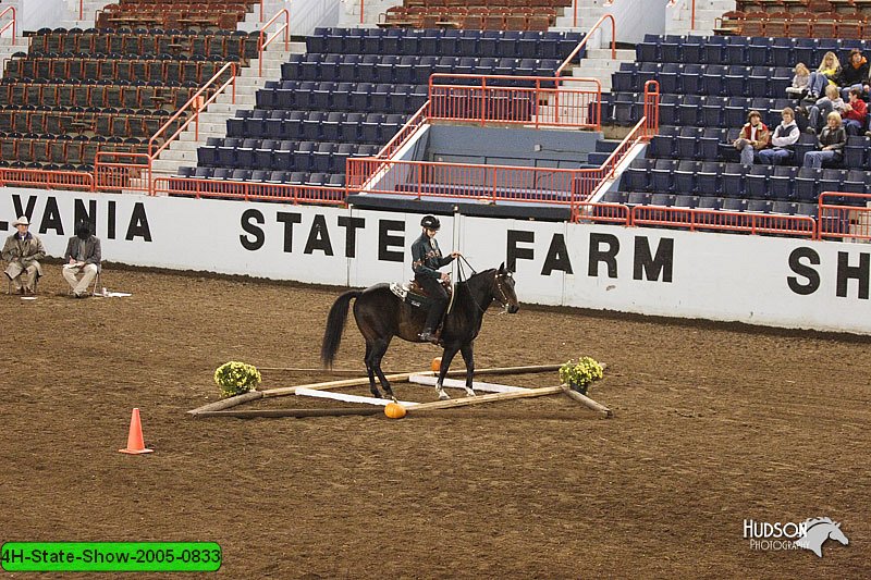 4H-State-Show-2005-0833.jpg