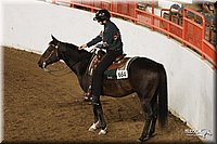 4H-State-Show-2005-0821.jpg