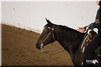 4H-State-Show-2005-0823.jpg