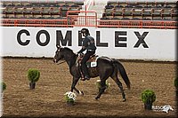 4H-State-Show-2005-0828.jpg