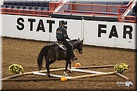 4H-State-Show-2005-0832.jpg