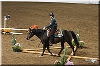 4H-State-Show-2005-0844.jpg