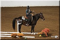 4H-State-Show-2005-0848.jpg