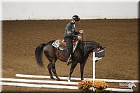 4H-State-Show-2005-0849.jpg