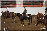 4H-State-Show-2005-0858.jpg