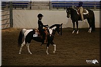 4H-State-Show-2005-0540.jpg