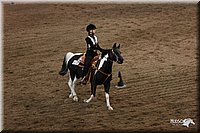 4H-State-Show-2005-0549.jpg