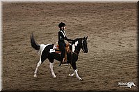 4H-State-Show-2005-0550.jpg