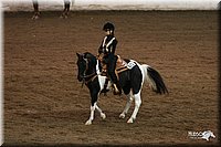 4H-State-Show-2005-0553.jpg