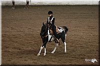 4H-State-Show-2005-0554.jpg