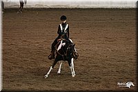 4H-State-Show-2005-0555.jpg