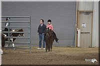 4H-State-Show-2005-0679.jpg