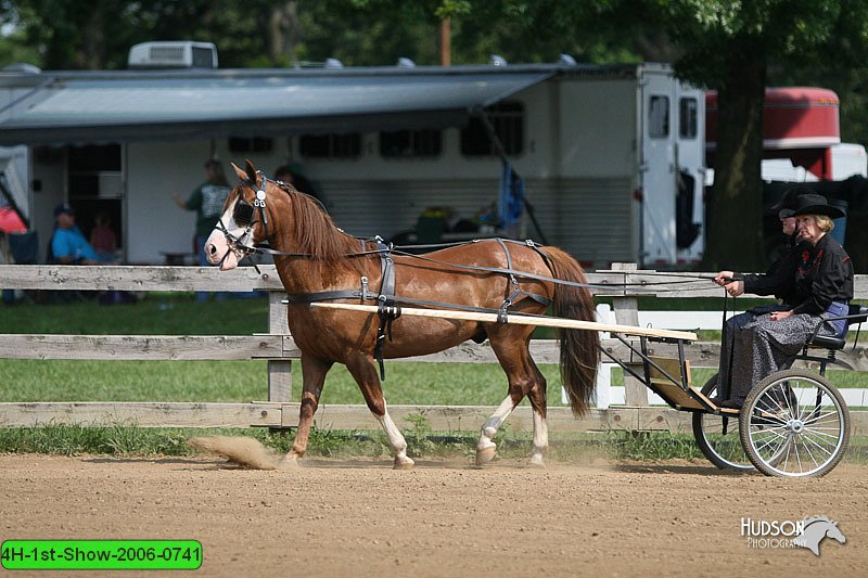 4H-1st-Show-2006-0741.jpg