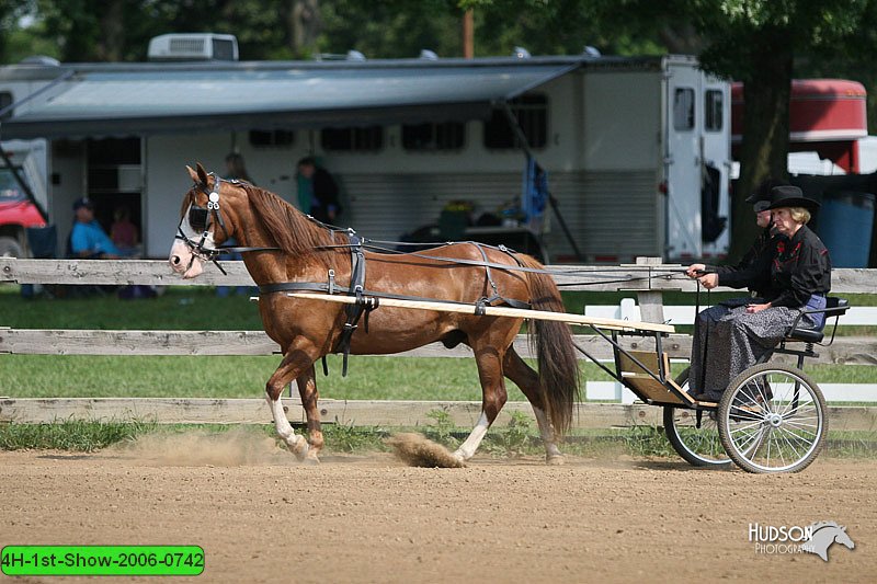 4H-1st-Show-2006-0742.jpg