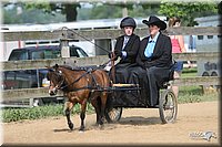 4H-1st-Show-2006-0730.jpg