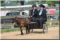 4H-1st-Show-2006-0731.jpg