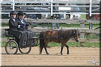 4H-1st-Show-2006-0734.jpg